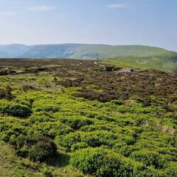 View NE along Hatterrall hill and the Black mountains towards Hay Bluff
