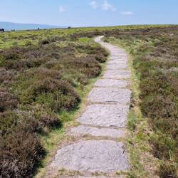 Much of the path on the ridge is paved like this to address footfall erosion