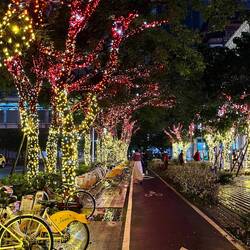 Magical city at night