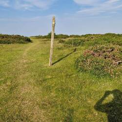 Path signpost near top of Disgwylfa hill