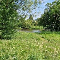 River Wye from Offa's Dyke path through meadowland