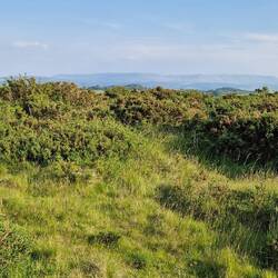 Hay Bluff and Black Mountains in the distance from top of Disgwylfa Hill
