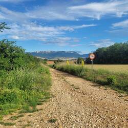 Landscapes along the way.