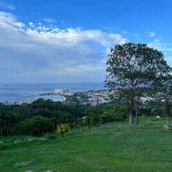 Aussicht auf Ocho Rios (benannt von den Spaniern und heisst 'Acht Flüsse')