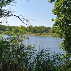 Kleiner De Wittsee