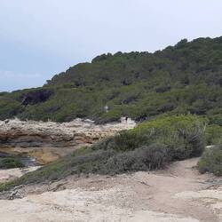 Pine forest and the coastal landscape of the Mediterranean between Tamarit and La Mora