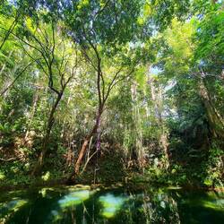 Wasserquelle mit Seil zum reinschwingen