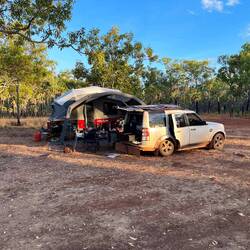 A sad looking Disco :-(