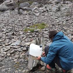 Sind keine Riesenfische....