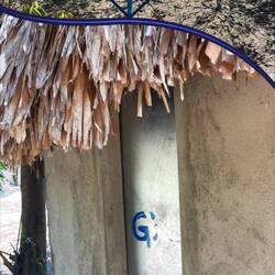 Not at all comfortable