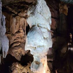 An unusually white stalagmite