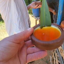 Buffalo kurd with sweet syrup made from coconut flowers
