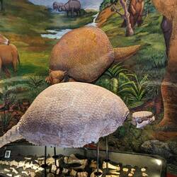 Ein riesen Armadillon