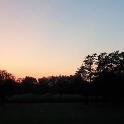 Gute Nacht über der "Marsh Farm"🌜🌟