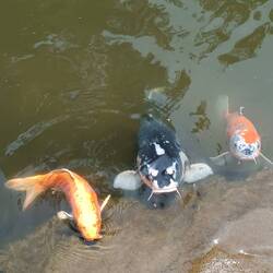 Une très jolie brochette😁!