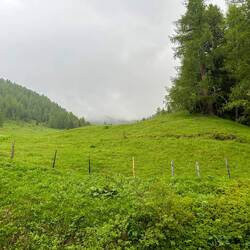 Abends hat es sich mal wieder eingeregnet