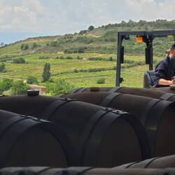 A view out of the winery