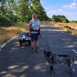 Wer hat eine Erklärung für diese Markierung?