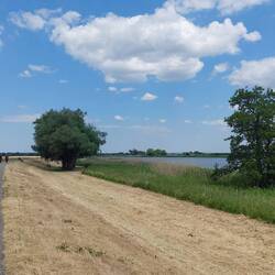 Immer schön auf dem Oderdeich!