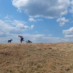 Hoch auf dem Oderdeich!