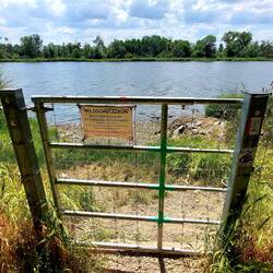Das Tor wird die polnischen Wildschweine sehr enttäuschen!🤣