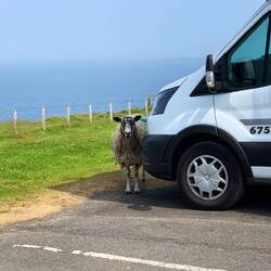 Neugierige Nachbarn auf dem Parkplatz