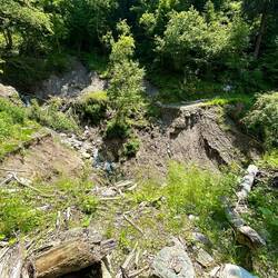 Früher mal eine Forststraße