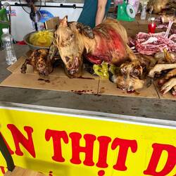 Goat at market