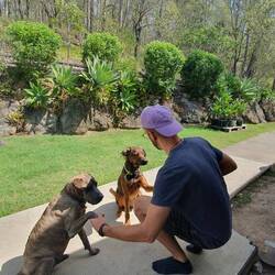 Auf Wiedersehen dogs.