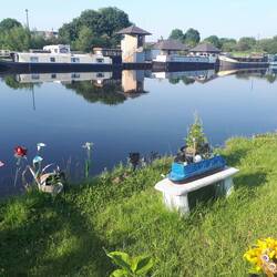 Spotted in one of the small gardens belonging to boats in the marina