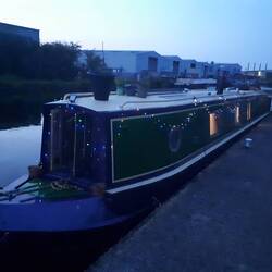 Doncaster B&M supplied us with solar string lights set to come on at dusk.