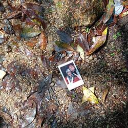 Au détour du chemin...juste posée là.