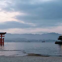 Au soir des mers sans voyageurs...