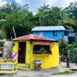 Rastamans house who sells some Natural Products