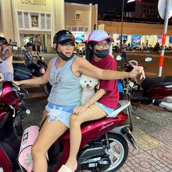 They teach the dogs to ride!