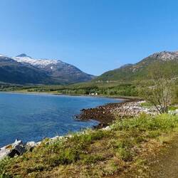 Naja der vorige Text würde hier auch passen