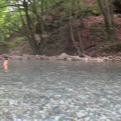 Fledermaus schwirrt über den Köpfen, aber schwierig zu filmen