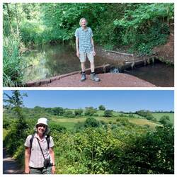 En route to Cockington via Water Meadows / Local walk