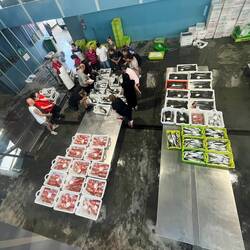 Fresh fish auction