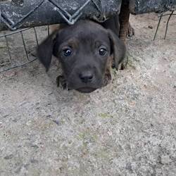 Der kleine hat mich nach der Abenteuerwanderung begrüßt 😊