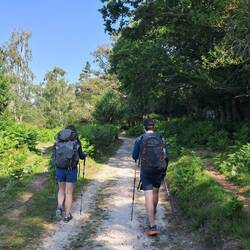 You read these captions huh?