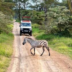 Its a zebra crossing.