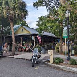 Funky green turtle bar