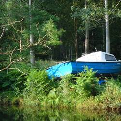 wie kommt Boot wohl dahin? das letzte Hochwasser war im 2001..