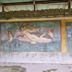 Wandmalereien im Haus der Venus in der Muschel