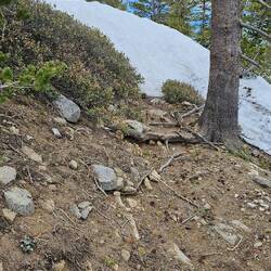 Crossing the path again and again, a 4m snow drift