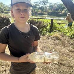Fish trap