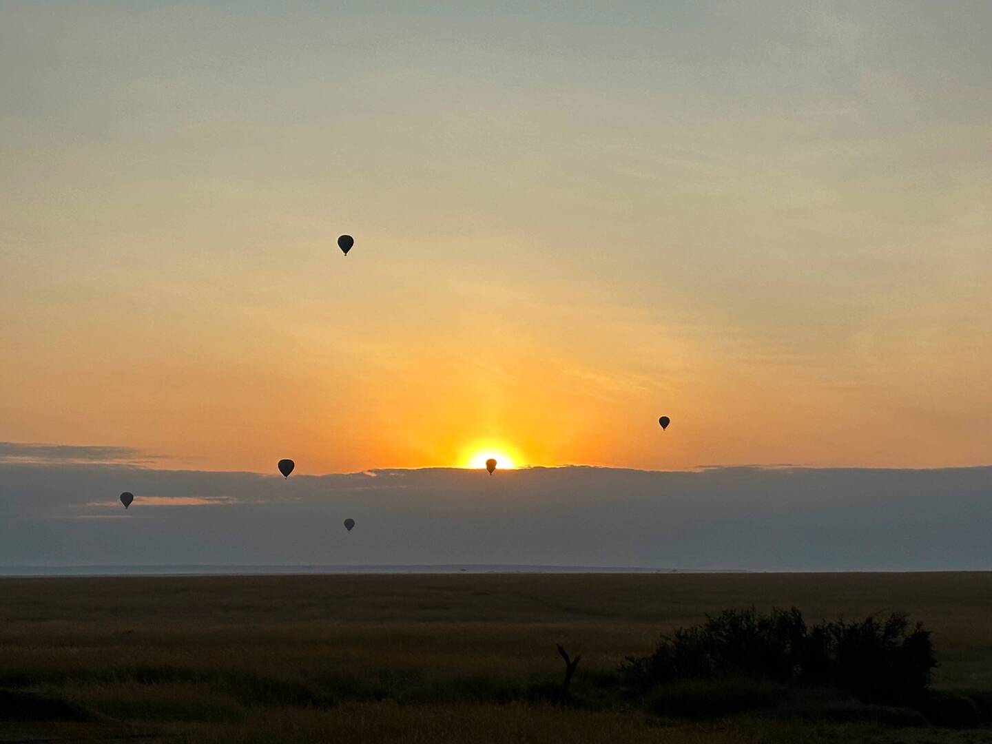 Balloons at sunrise