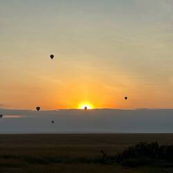 Balloons at sunrise