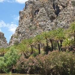 Im Tal der Palmen 🌴